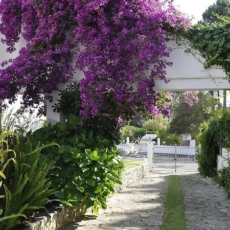 Vila, Piscina,praia, 20 Km Lisboa *